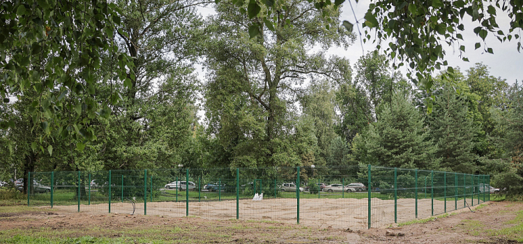 Назвали адреса новых площадок для выгула собак в Рыбинске