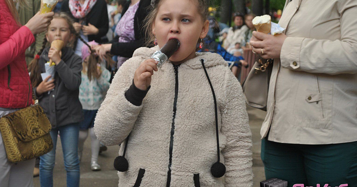 День мороженого 2015 в Ярославле_32733
