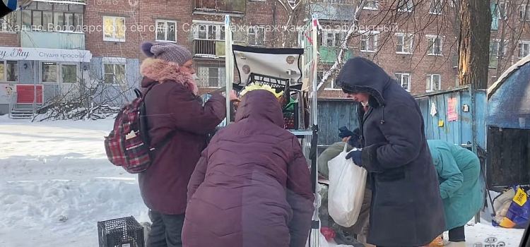 Фото дня. Ярославцы разбирают просрочку на помойке _172617