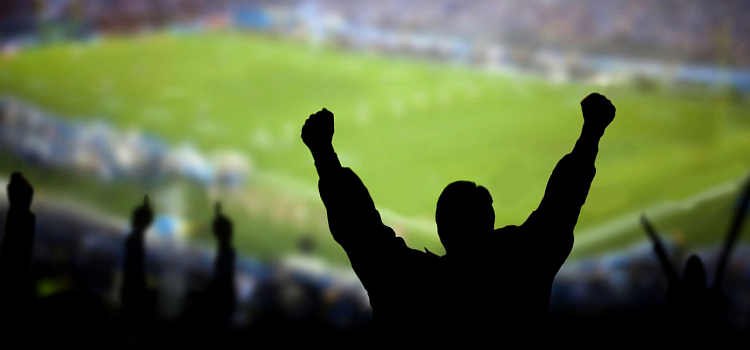 Болельщик из Воронежа был оштрафован за посещение футбольного матча