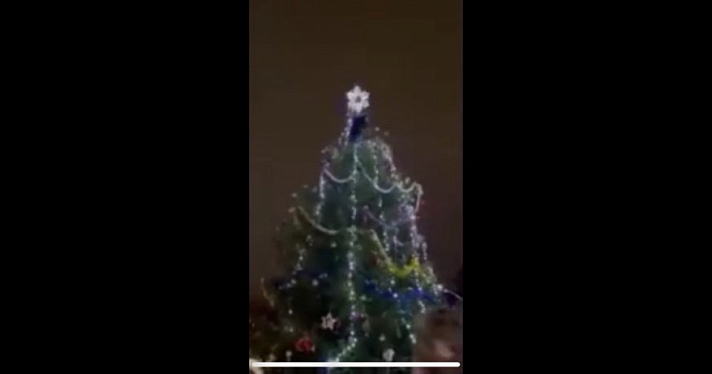 Ярославец упал с городской елки, когда пытался украсть звезду