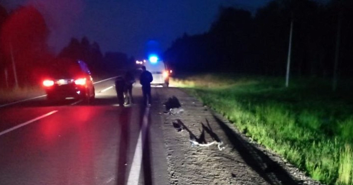 В Ярославской области в суд направлено дело о смертельном ДТП с мотоблоком