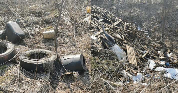 Жители Переславля пожаловались на мусорную свалку в национальном парке_237421