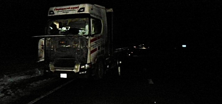 В Ярославской области легковушка в темноте врезалась в стоящую фуру_308218