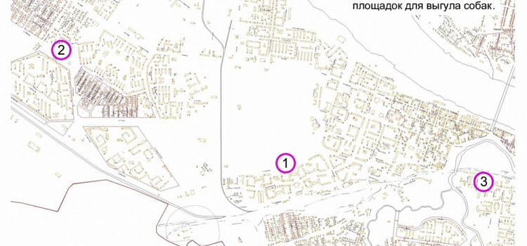 В Рыбинске оборудуют три площадки для выгула собак