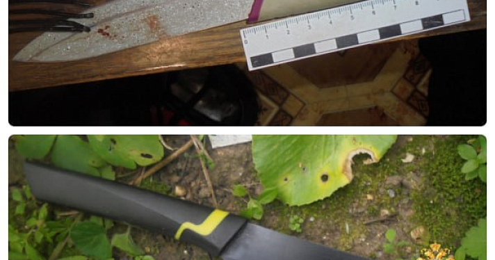 В Ярославской области молодой человек в порыве гнева порезал ножом своих родителей и их знакомую