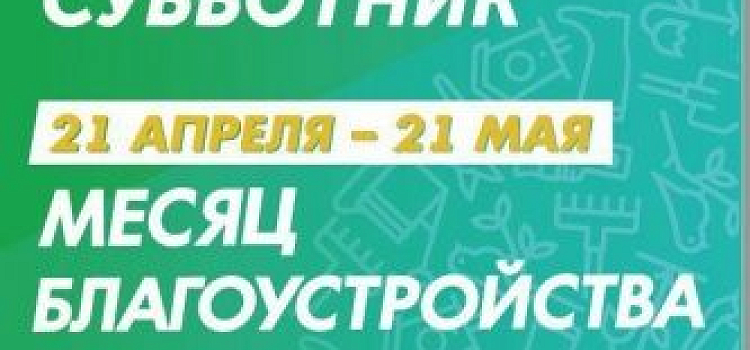 Месячник благоустройства в Ярославле пройдет с концертами и полевой кухней