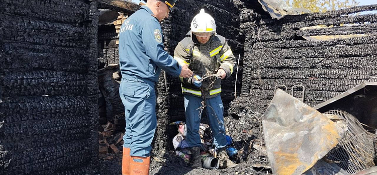 В МЧС назвали причины пожара в селе Ярославской области, унёсшего жизни пенсионера и его внука_272750