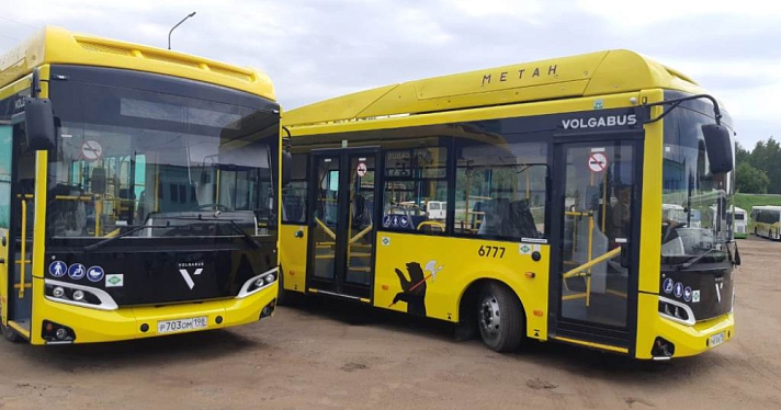 «При оплате есть неудобства»: в Ярославле на маршрут № 176 вышли новые автобусы