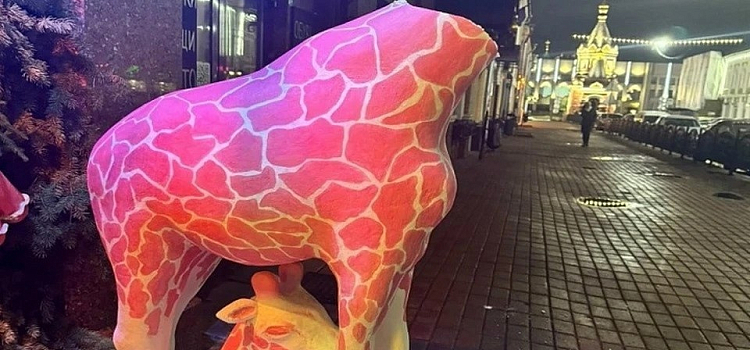В центре Ярославля вандалы повредили новогоднюю экспозицию с фигурой жирафа