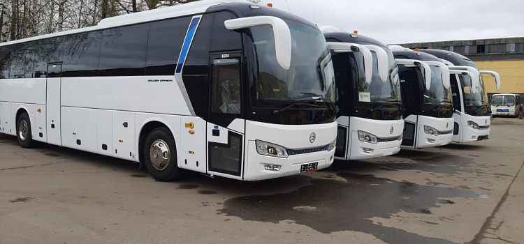 В Ярославскую область поступили новые автобусы для межмуниципальных маршрутов_295758