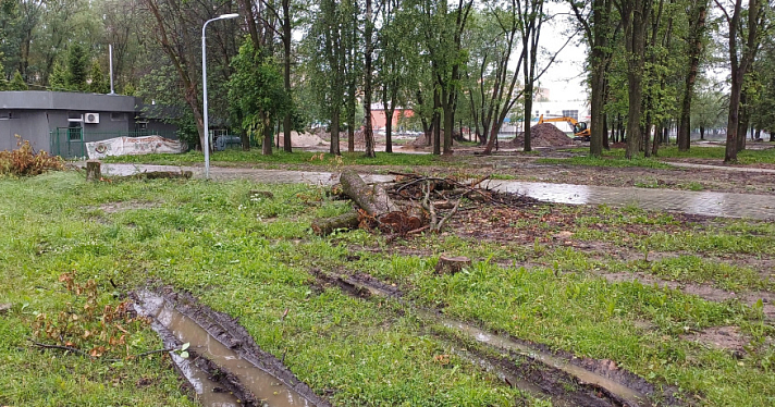 Рассказали, когда закончатся работы в парке 30-летия Победы в Ярославле