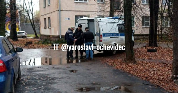 В Ярославле задержали «слесаря» с электрошокером