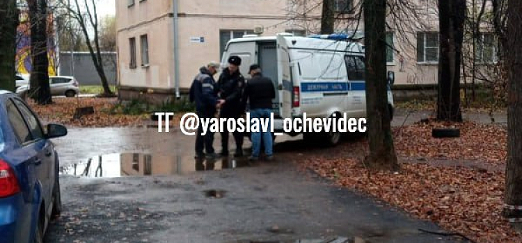 В Ярославле задержали «слесаря» с электрошокером