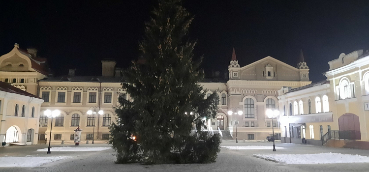 Администрация Рыбинска прокомментировала спиленную в черте города ель для Красной площади_169656