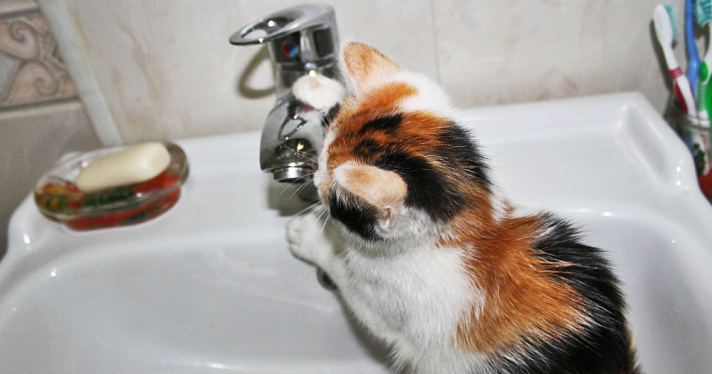 Ярославцам рассказали о новых правилах оплаты ЖКХ