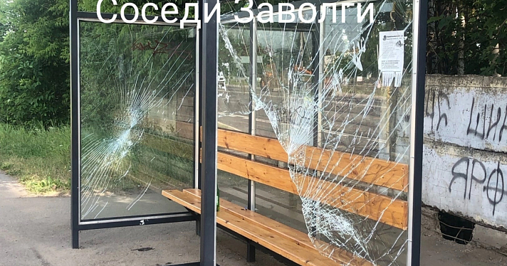 Вандалы разгромили новую остановку общественного транспорта у Ярославского зоопарка_244597