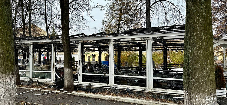 В центре Ярославля сгорела веранда кафе_255943