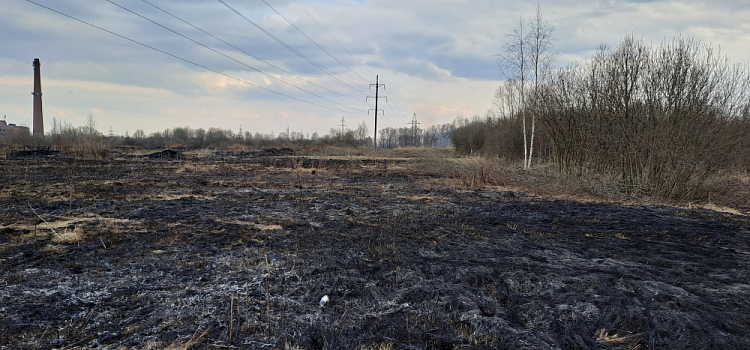В Ярославской области начался весенний пал травы