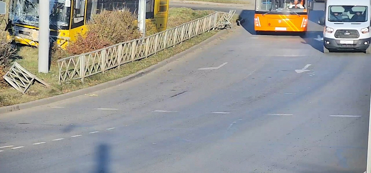 В Ярославле водитель автобуса, спасая животное, вылетел с дороги_324992