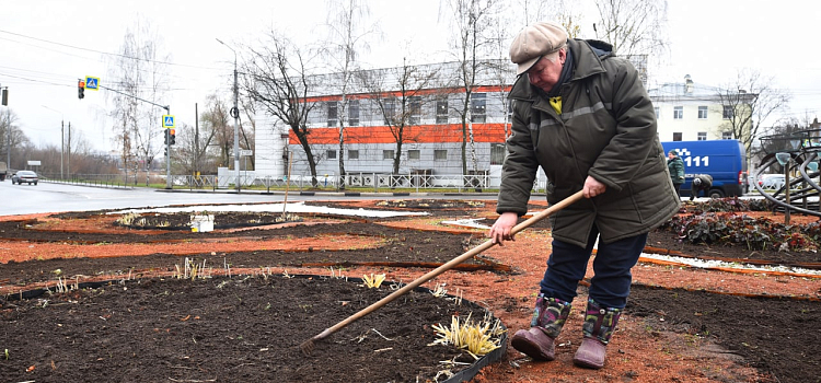 Весной город зацветет тюльпанами: в Ярославле сажают цветы на Комсомольской площади_225331