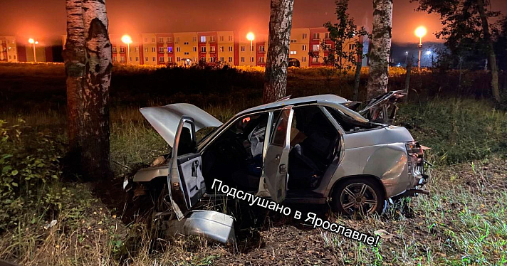 В Ярославском районе водитель врезался в дерево и оставил автомобиль_251456