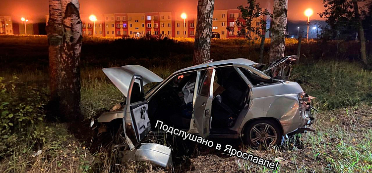 В Ярославском районе водитель врезался в дерево и оставил автомобиль_251456