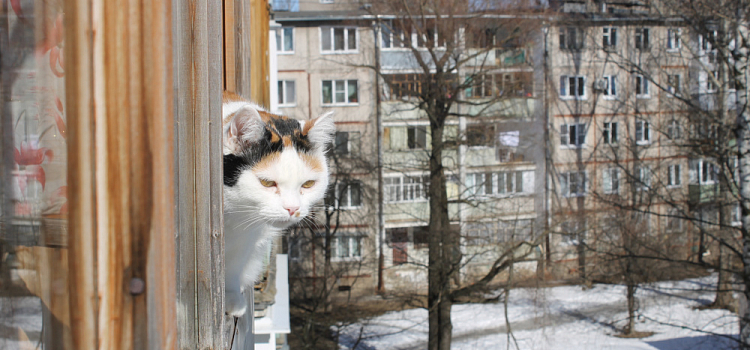 Погода бьёт рекорды: в Ярославле в середине марта ожидается летнее тепло