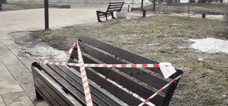«Осторожно, окрашено»: Ярославль приводят в порядок после зимы_269066