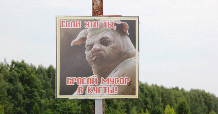 На кладбище «Осташинское» установили таблички со свиньей 