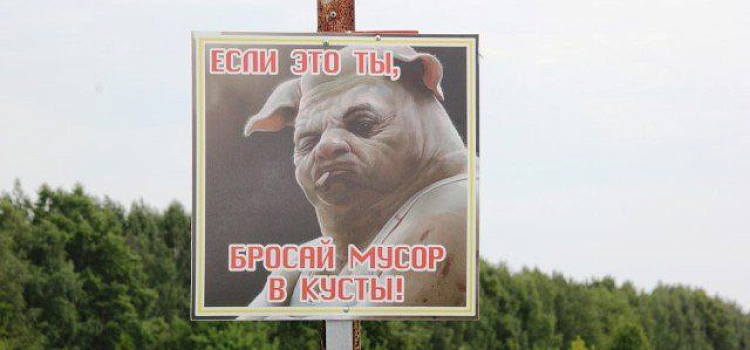 На кладбище «Осташинское» установили таблички со свиньей 