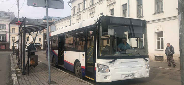 Зарплата до 60 тысяч: в Ярославле ищут на работу водителей общественного транспорта