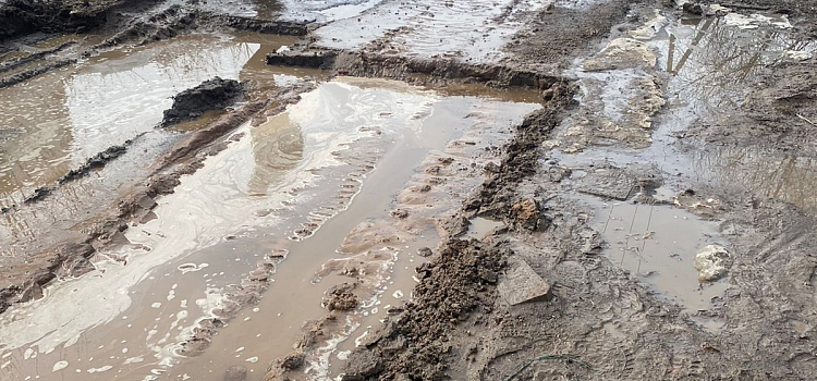 Словно в далёкой глубинке: в Ярославле жители новостройки жалуются на непролазную грязь_268342