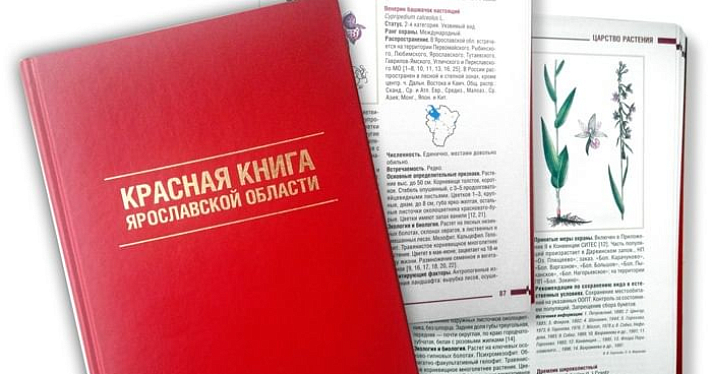В Ярославской области готовят новое издание Красной книги