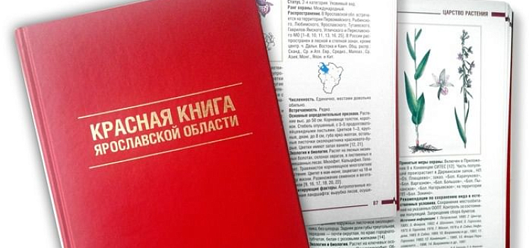 В Ярославской области готовят новое издание Красной книги