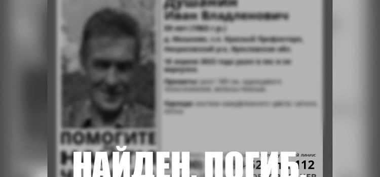Пошел на охоту и потерялся: в Ярославской области нашли тело 59-летнего мужчины