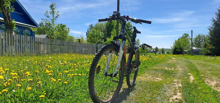 От рецидива зимы к репетиции лета: в Ярославль резко ворвётся тепло