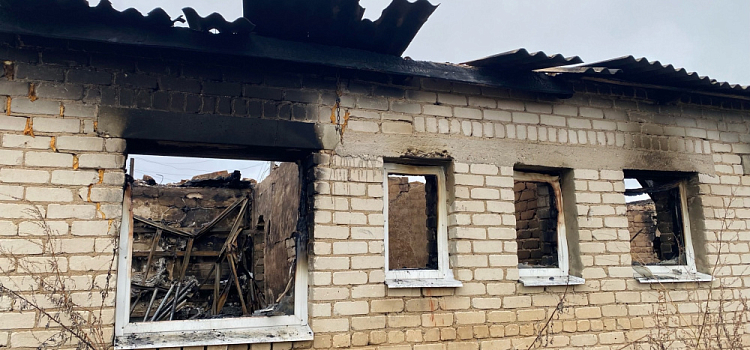 В Ярославской области восстановят ферму, где погибли больше ста коров