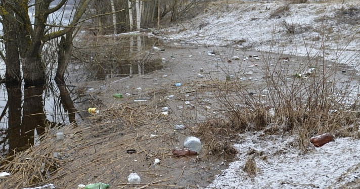 Ярославцев пригласили на уборку берега в деревне Малое Филимоново