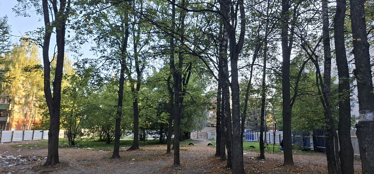 В Дзержинском районе Ярославля начинают большую стройку на месте зелёной зоны_305007