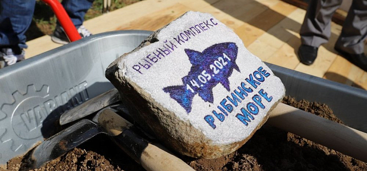 В Ярославской области будут выращивать радужную форель