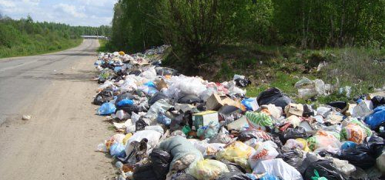 В Ярославской области выявлено 18 несанкционированных свалок 