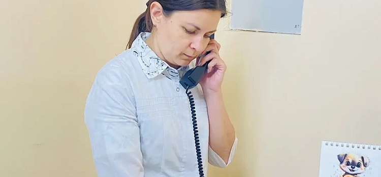 Молодые специалисты укрепляют кадровый потенциал больниц Ярославской области_319969