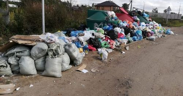 В Ярославле наступил «мусорный коллапс»? Фотографии контейнерных площадок, которые выкладывают горожане