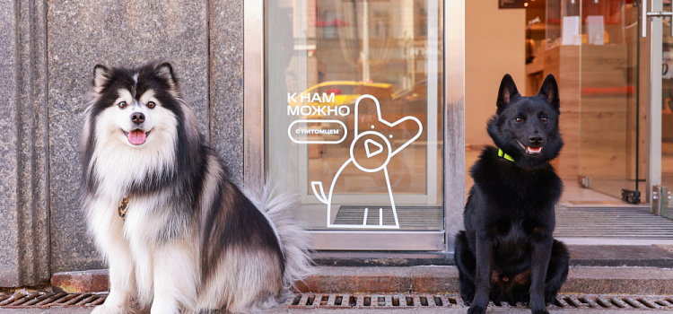 МТС открыла свои магазины для ярославцев с домашними животными