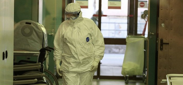 В Ярославской области выявили очаг африканской чумы свиней