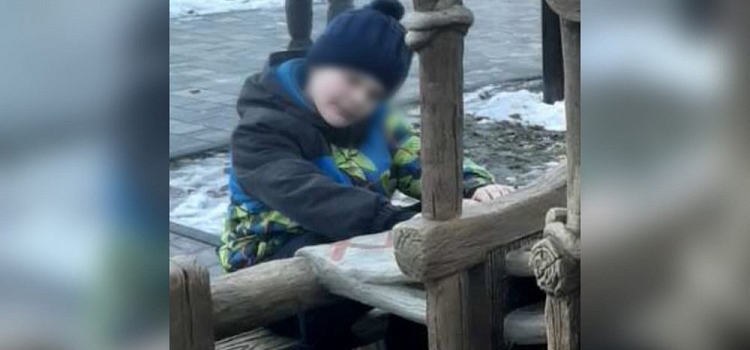 «Никто не попытался помочь»: волонтеры Ярославля рассказали о поисках девятилетнего мальчика