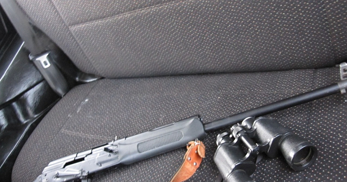 В Ярославской области охотник заплатил штраф за убитого лося и лишился оружия
