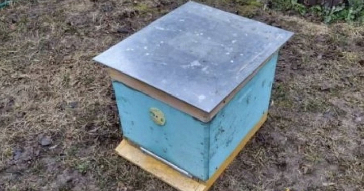 В Ярославской области раскрыта кража десяти пчелиных ульев