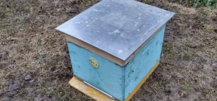 В Ярославской области раскрыта кража десяти пчелиных ульев